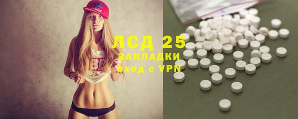 эйфоретик Аркадак