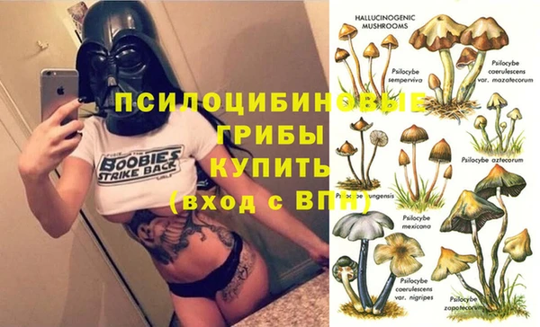 эйфоретик Аркадак